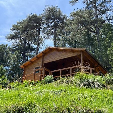 Cabana Garrote Gordo Сегура-де-ла-Сьерра Экстерьер фото